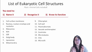 Chapter 13b  Cell Structure and Function Structure 1016  Cambridge ALevel 9700 Biology [upl. by Annaliese159]