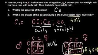 How to solve simple Mendelian genetics problems [upl. by Cohen61]