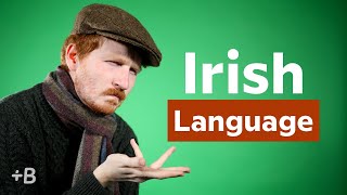 What Language Is Spoken In Ireland [upl. by Nlocnil]