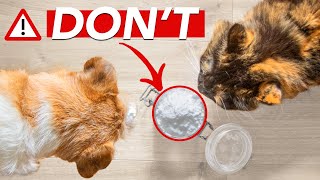 DIATOMACEOUS EARTH For Fleas And Ticks Control » a hidden DANGER [upl. by Souvaine767]