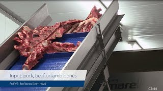 ProFIVE beef bones – Versatile meat harvesting [upl. by Raine]