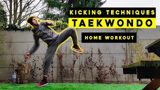 TUTORIAL  Taekwondo Kicking Techniques [upl. by Lenrow382]