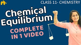 Equilibrium Chemistry Class 11  Chapter 7 Chemical Equilibrium One Shot  CBSE NEET JEE [upl. by Alleacim]