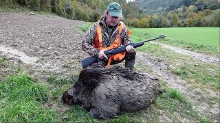 Cinghiale in battuta e Caccia di Selezione con Benelli Endurance BeST 308 e Leupold VX5 HD [upl. by Ecinaej103]