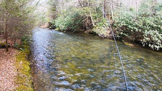 PA Wilderness Trout Stream  Lick Run [upl. by Winchell]