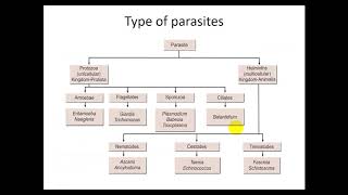 Lecture 1 Introduction to Parasitology [upl. by Cullin]