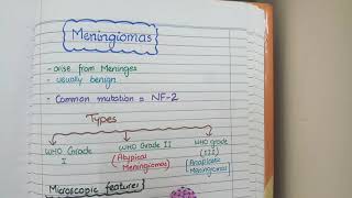 Meningioma Pathology [upl. by Affay]