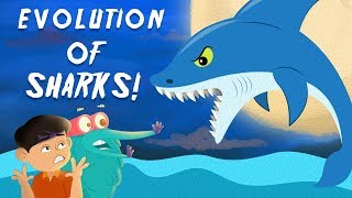 Evolution Of Sharks  The Dr Binocs Show  Best Learning Videos For Kids  Peekaboo Kidz [upl. by Jaan]