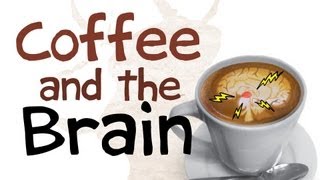 How Coffee Affects Your Brain [upl. by Sontich378]