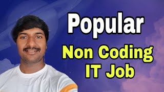 Most Popular Non Coding IT Jobs [upl. by Acirtap393]