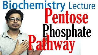 Pentose phosphate pathway [upl. by Nordna]