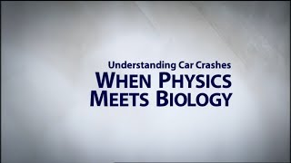 Understanding Car Crashes When Physics Meets Biology [upl. by Burkhart]