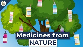 Lifesaving Medicines Made From Plants Youve Never Heard Of [upl. by Leibarg]