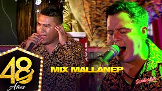 Mix Mallanep  Caribeños de Guadalupe quot48 Añosquot En Vivo [upl. by Eydnarb]