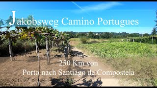 Jakobsweg Camino Portugues [upl. by Sugna]