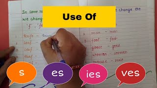 Singular and Plural Nouns  How to add s es ies ves to the Nouns [upl. by Ettevets255]