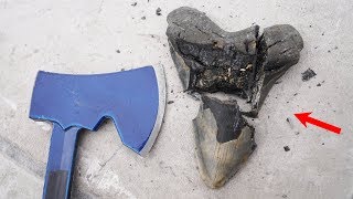 Whats inside a Megalodon Tooth [upl. by Upshaw647]