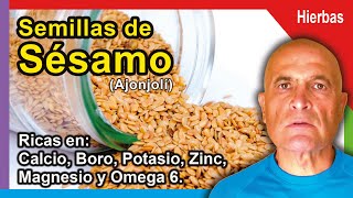 SEMILLAS DE SÉSAMO 🌱 Propiedades Beneficios y Cómo consumirlas 💙 [upl. by Kcirddec]