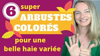 6 super arbustes COLORÉS pour une belle HAIE VARIÉE [upl. by Adnalram]