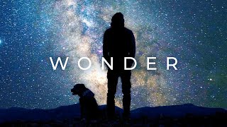 Alan Watts  Wonder [upl. by Ibot]