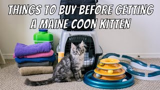 Things to Buy Before Getting a Maine Coon Kitten [upl. by Aninaj651]