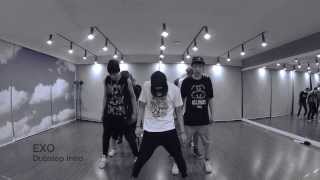 EXO Intro Dubstep [upl. by Averell132]