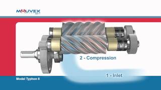 Screw Compressor Principle Mouvex Overview [upl. by Atsocal978]