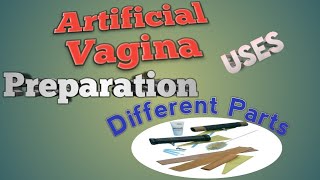 How can make artificial vagina [upl. by Kalb]