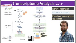 Transcriptome analysis Learn library preparation and data analysis from scratch [upl. by Nylkaj]