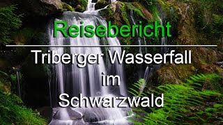 Triberger Wasserfälle  Schwarzwald  Videobericht [upl. by Yggam729]