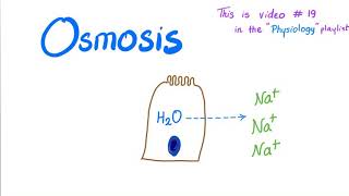 Osmosis  Physiology [upl. by Kurr]