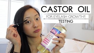 TESTING  Castor Oil for Hair Growth Eyelashes amp Eyebrows [upl. by Ayalahs800]