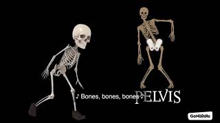 Bones Bones Bones [upl. by Jonell643]