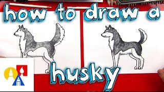 How To Draw A Husky [upl. by Anelahs936]