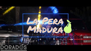 Los Dorados  La Pera Madura En Vivo [upl. by Maro]