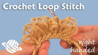 Crochet Loop Stitch righthanded version [upl. by Pattie784]