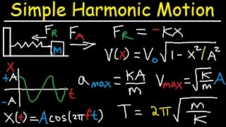 Simple Harmonic Motion Mass Spring System  Amplitude Frequency Velocity  Physics Problems [upl. by Airehtfele]