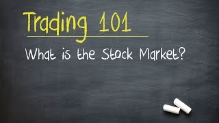 Trading 101 What is the Stock Market [upl. by Ettenan676]