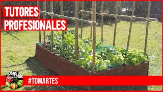 HACEMOS TUTORES PROFESIONALES PARA TOMATES  MARTES DE TOMATES Ep 10 [upl. by Inig]