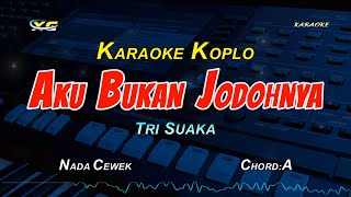 AKU BUKAN JODOHNYA KARAOKE KOPLO NADA CEWEK [upl. by Gnil]