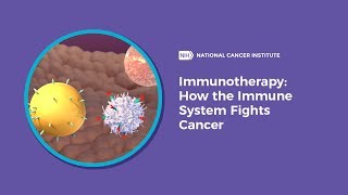 Immunotherapy How the Immune System Fights Cancer [upl. by Sirc]