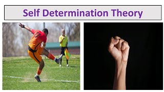 Self Determination Theory of MotivationUrduHindi [upl. by Waters]