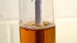 How to Use a Hydrometer for Homebrewing [upl. by Boigie936]