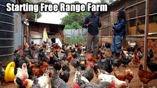 Starting a Free Range Poultry Farm [upl. by Williamsen]