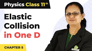 Elastic Collision in One Dimension  Work Energy and Power  Class 11 Physics [upl. by Devitt]