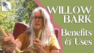 Willow Bark Benefits and Uses [upl. by Boru756]