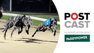 Greyhound Postcast Greyhound Derby 2019 [upl. by Anaig]