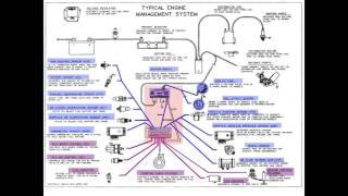 Instructor Series Inputs outputs amp PCM [upl. by Annauj]