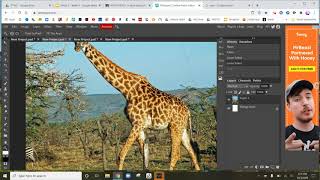 How to use the Zoom Selecting CopyampPaste and Transform tools in Photopeacom [upl. by Irmo]