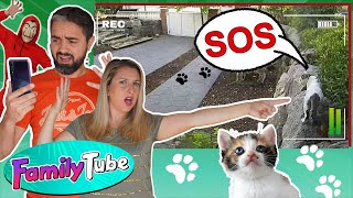 DESAPARECEN LOS GATOS  Web Serie FamilyTube [upl. by Alexandra]